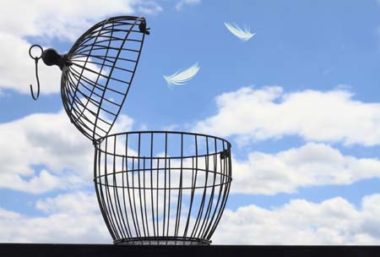 cage ouverte avec des plumes qui s'envolent