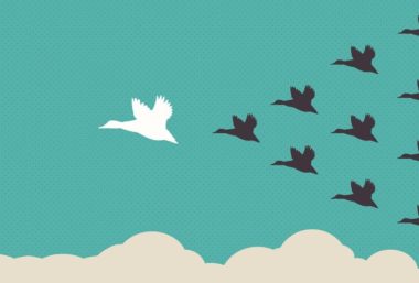 oiseaux migrateurs se faisant conduire par un oiseau leader