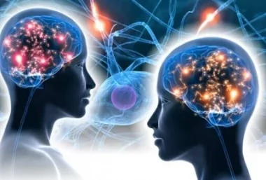 Qu'est-ce que l'intelligence émotionnelle - Compétence psycho-sociale - Agilité relationnelle