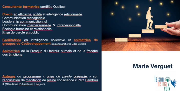 Image d'illustration de l'offre de services de Marie Verguet - Le son de ma voix