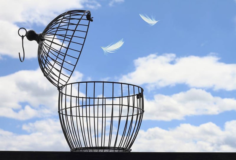 Cage ouverte avec des plumes qui s'envolent