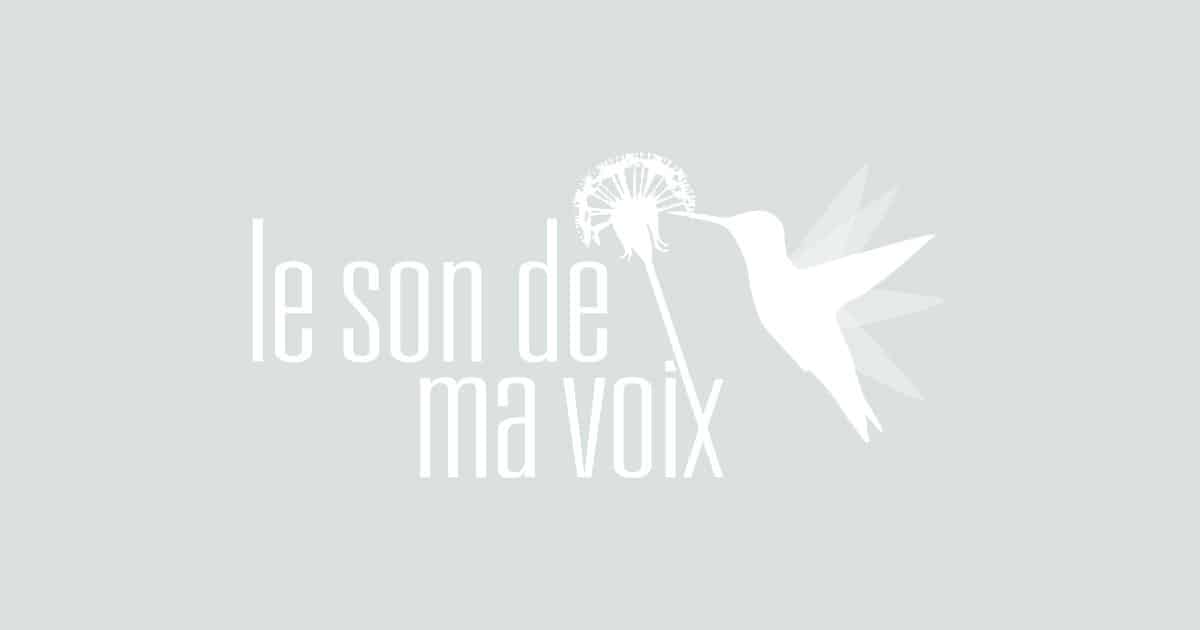 lesondemavoix image generique